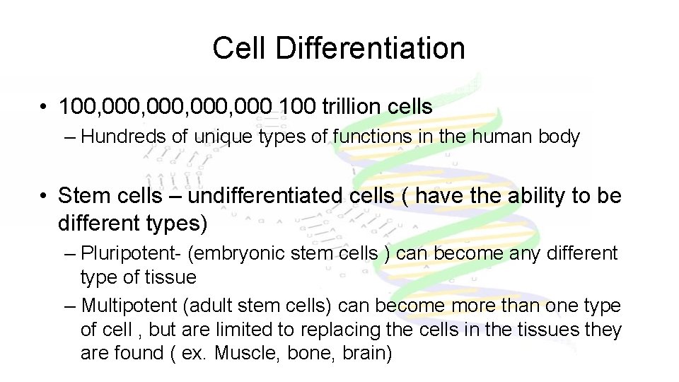 Cell Differentiation • 100, 000, 000 100 trillion cells – Hundreds of unique types