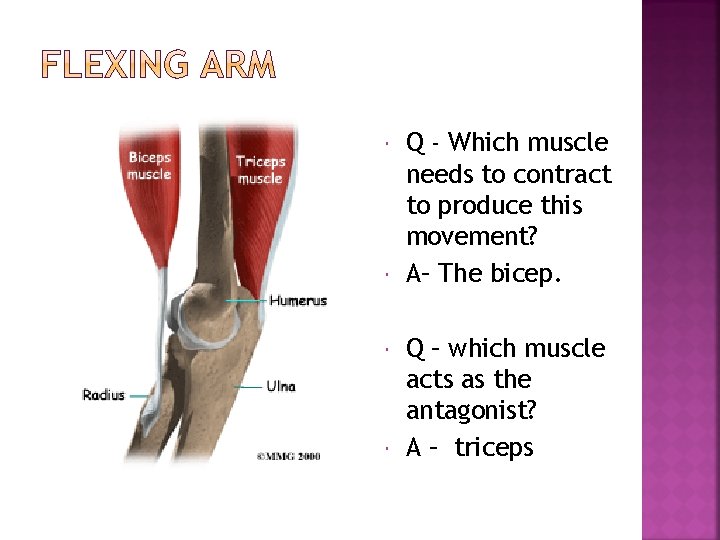  Q - Which muscle needs to contract to produce this movement? A– The