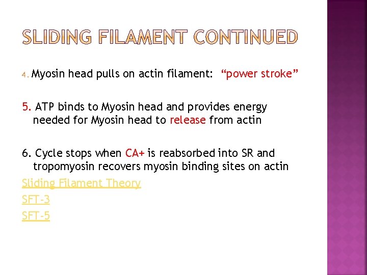 4. Myosin head pulls on actin filament: “power stroke” 5. ATP binds to Myosin
