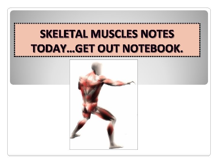 SKELETAL MUSCLES NOTES TODAY…GET OUT NOTEBOOK. 