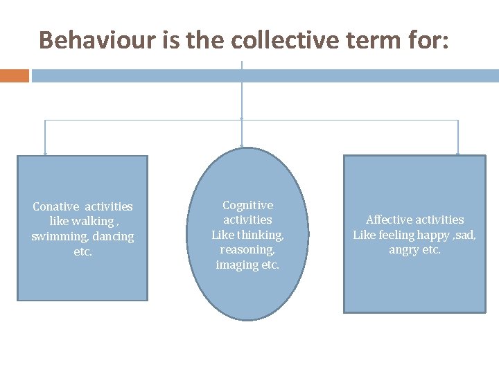 Behaviour is the collective term for: Conative activities like walking , swimming, dancing etc.