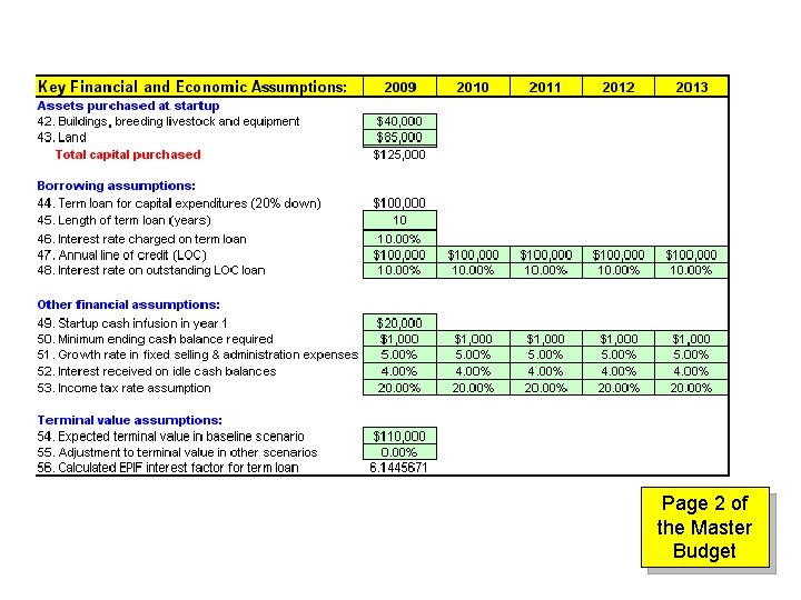 Page 2 of the Master Budget 