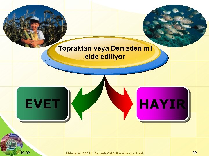 Topraktan veya Denizden mi elde ediliyor EVET 10: 39 HAYIR Mehmet Ali ERCAN Balıkesir