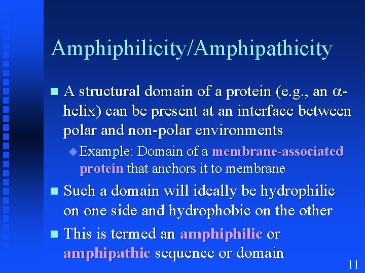 Amphiphilicity/Amphipathicity A structural domain of a protein (e. g. , an helix) can be