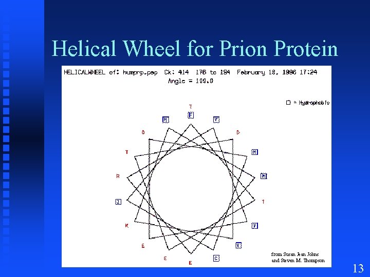 Helical Wheel for Prion Protein from Susan Jean Johns and Steven M. Thompson 13