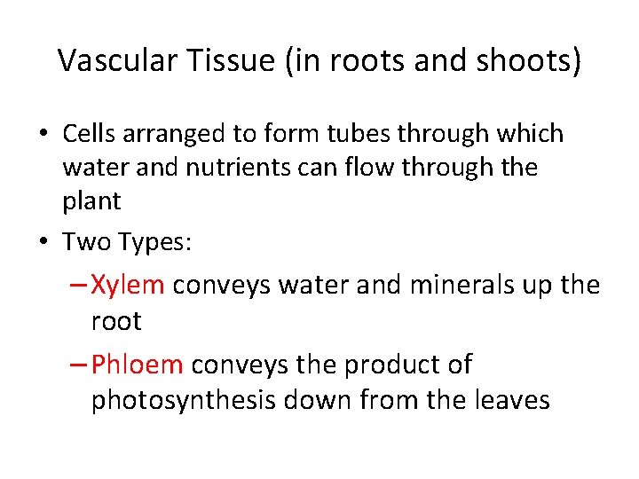 Vascular Tissue (in roots and shoots) • Cells arranged to form tubes through which Vascular Tissue (in roots and shoots) • Cells arranged to form tubes through which
