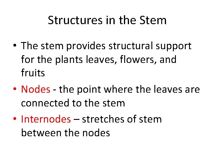 Structures in the Stem • The stem provides structural support for the plants leaves, Structures in the Stem • The stem provides structural support for the plants leaves,