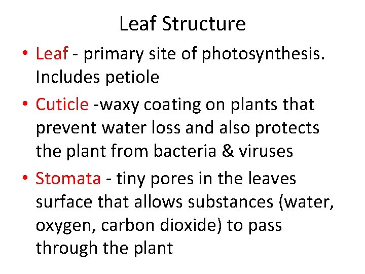 Leaf Structure • Leaf - primary site of photosynthesis. Includes petiole • Cuticle -waxy Leaf Structure • Leaf - primary site of photosynthesis. Includes petiole • Cuticle -waxy