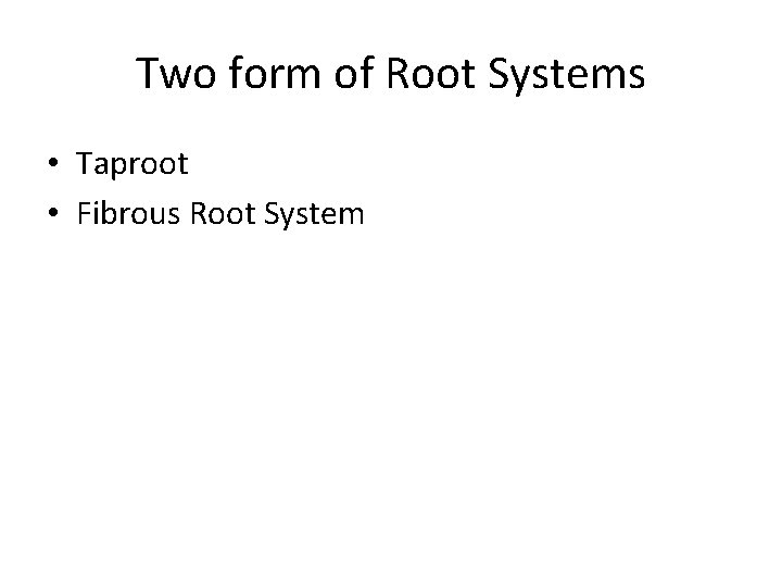 Two form of Root Systems • Taproot • Fibrous Root System  Two form of Root Systems • Taproot • Fibrous Root System