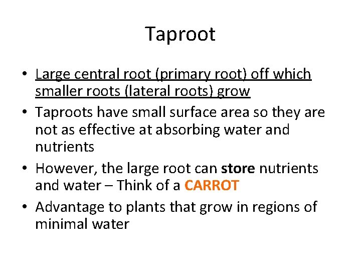 Taproot • Large central root (primary root) off which smaller roots (lateral roots) grow Taproot • Large central root (primary root) off which smaller roots (lateral roots) grow