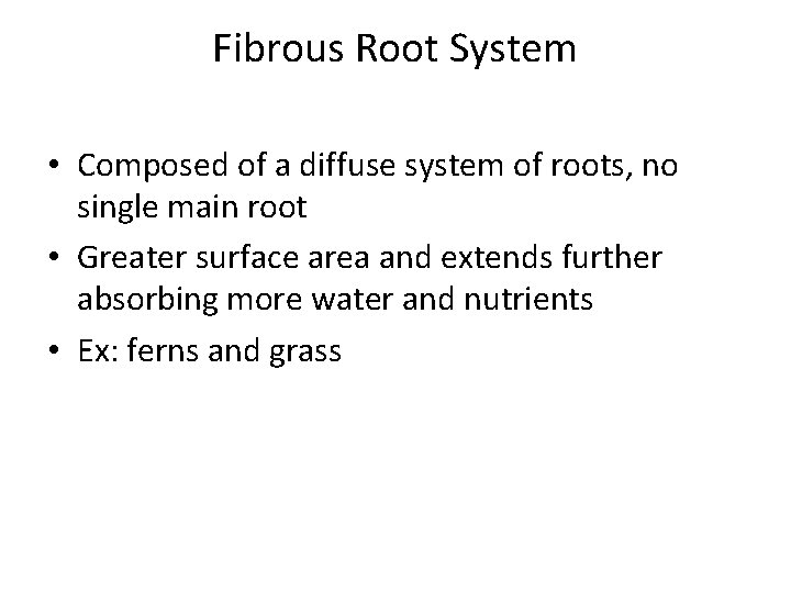 Fibrous Root System • Composed of a diffuse system of roots, no single main Fibrous Root System • Composed of a diffuse system of roots, no single main