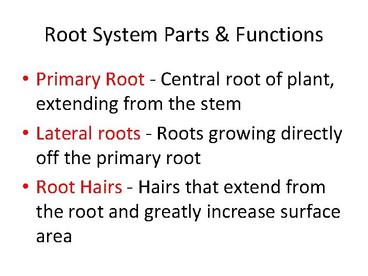 Root System Parts & Functions • Primary Root - Central root of plant, extending Root System Parts & Functions • Primary Root - Central root of plant, extending