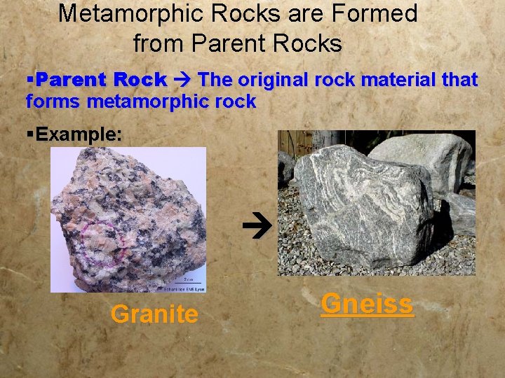 Metamorphic Rocks are Formed from Parent Rocks §Parent Rock The original rock material that