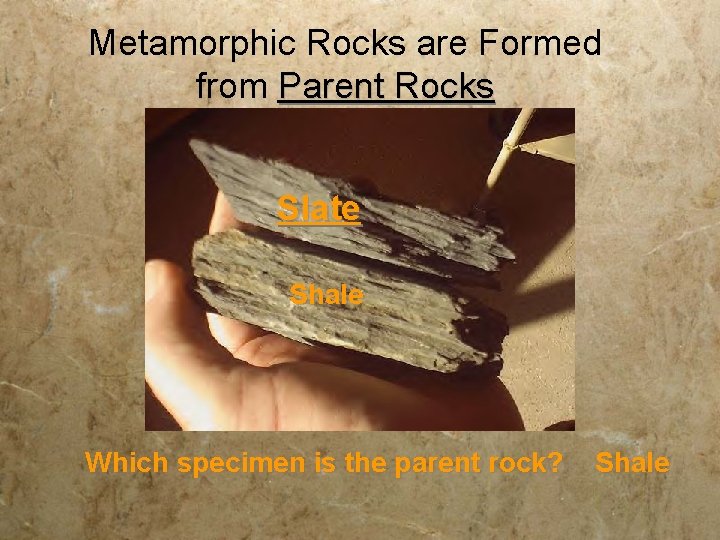 Metamorphic Rocks are Formed from Parent Rocks Slate Shale Which specimen is the parent