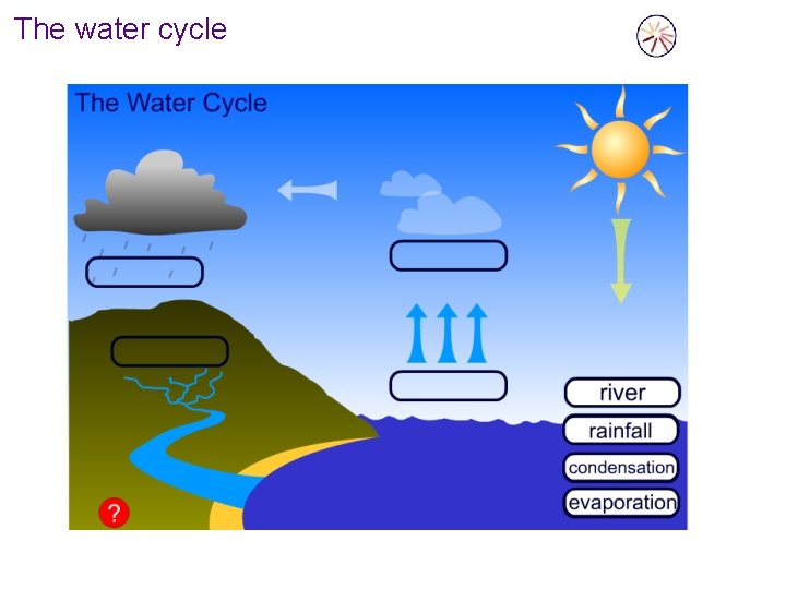 The water cycle 