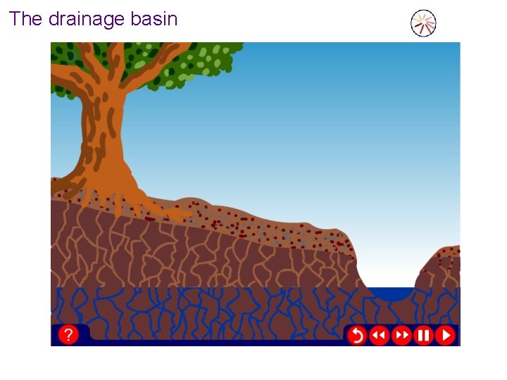 The drainage basin 
