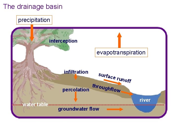 The drainage basin precipitation interception evapotranspiration infiltration surfa ce ru throug hflow percolation water