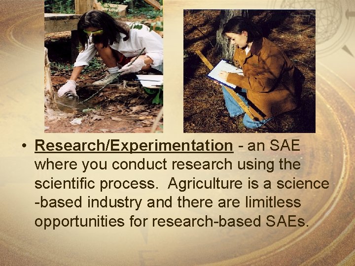  • Research/Experimentation - an SAE where you conduct research using the scientific process.