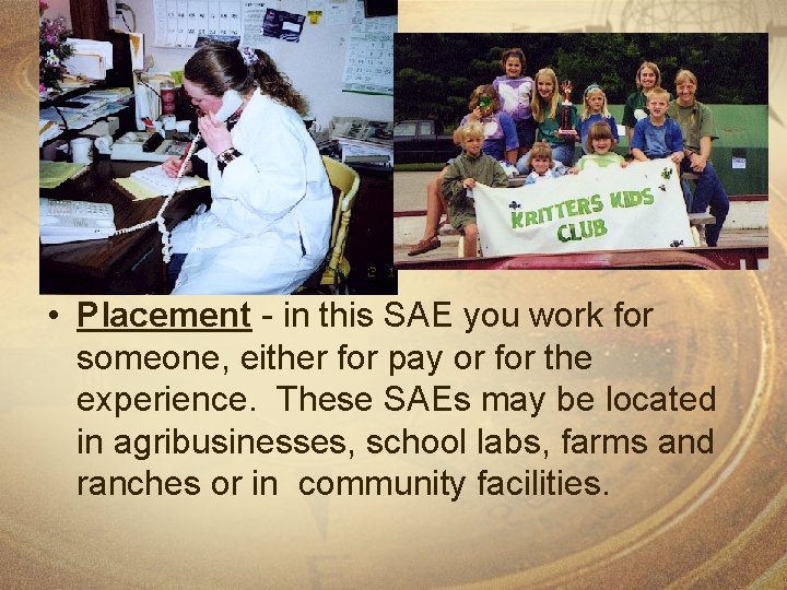  • Placement - in this SAE you work for someone, either for pay