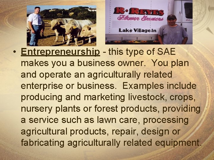  • Entrepreneurship - this type of SAE makes you a business owner. You
