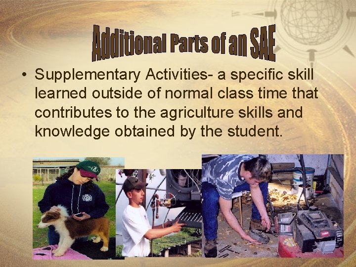  • Supplementary Activities- a specific skill learned outside of normal class time that