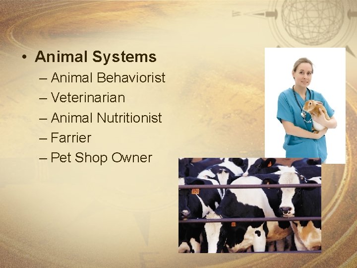  • Animal Systems – Animal Behaviorist – Veterinarian – Animal Nutritionist – Farrier