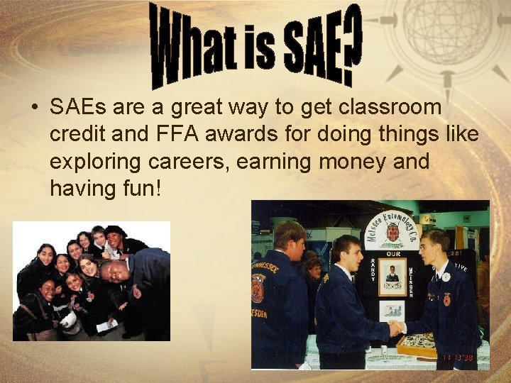  • SAEs are a great way to get classroom credit and FFA awards