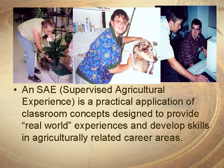  • An SAE (Supervised Agricultural Experience) is a practical application of classroom concepts
