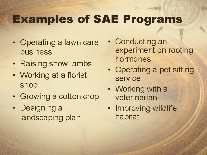 Examples of SAE Programs • Operating a lawn care business • Raising show lambs