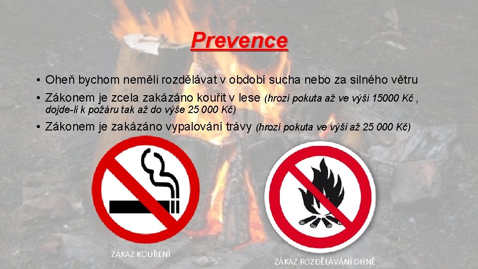 Prevence • Oheň bychom neměli rozdělávat v období sucha nebo za silného větru •