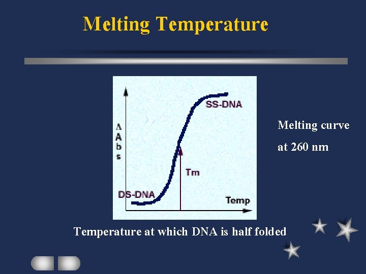 Melting Temperature Melting curve at 260 nm Temperature at which DNA is half folded