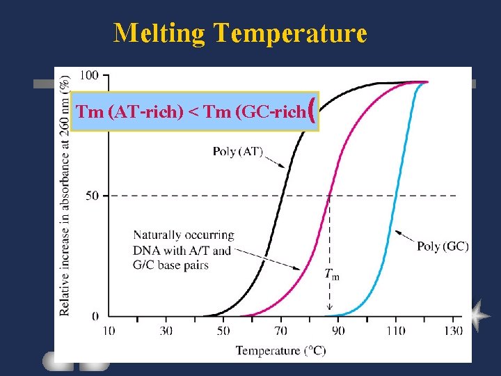 Melting Temperature Tm (AT-rich) < Tm (GC-rich( 