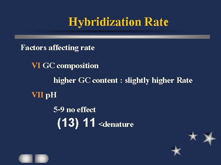 Hybridization Rate Factors affecting rate VI GC composition higher GC content : slightly higher