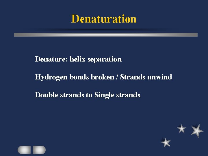 Denaturation Denature: helix separation Hydrogen bonds broken / Strands unwind Double strands to Single