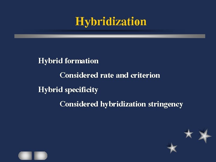 Hybridization Hybrid formation Considered rate and criterion Hybrid specificity Considered hybridization stringency 