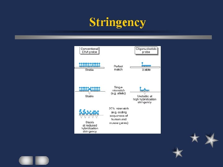 Stringency 