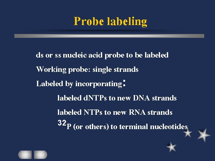 Probe labeling ds or ss nucleic acid probe to be labeled Working probe: single