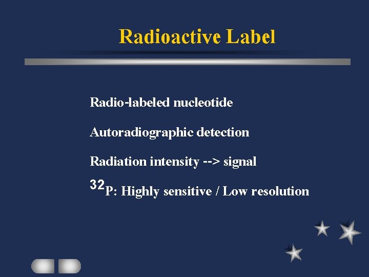 Radioactive Label Radio-labeled nucleotide Autoradiographic detection Radiation intensity --> signal 32 P: Highly sensitive