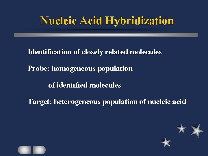Nucleic Acid Hybridization Identification of closely related molecules Probe: homogeneous population of identified molecules