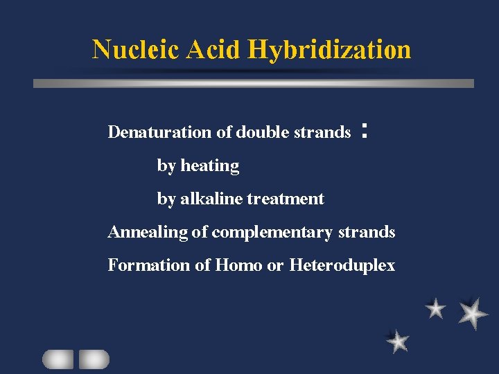 Nucleic Acid Hybridization Denaturation of double strands : by heating by alkaline treatment Annealing