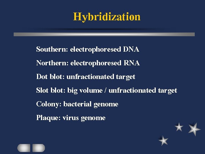 Hybridization Southern: electrophoresed DNA Northern: electrophoresed RNA Dot blot: unfractionated target Slot blot: big