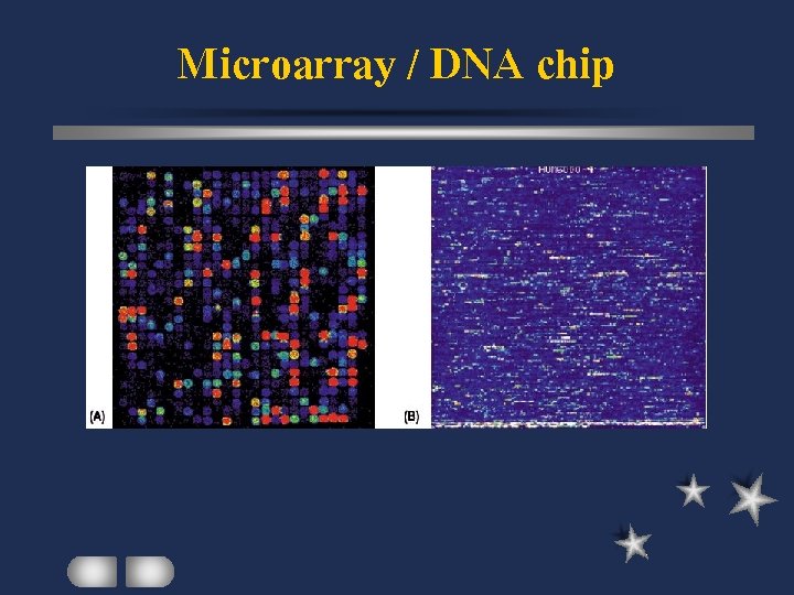 Microarray / DNA chip 