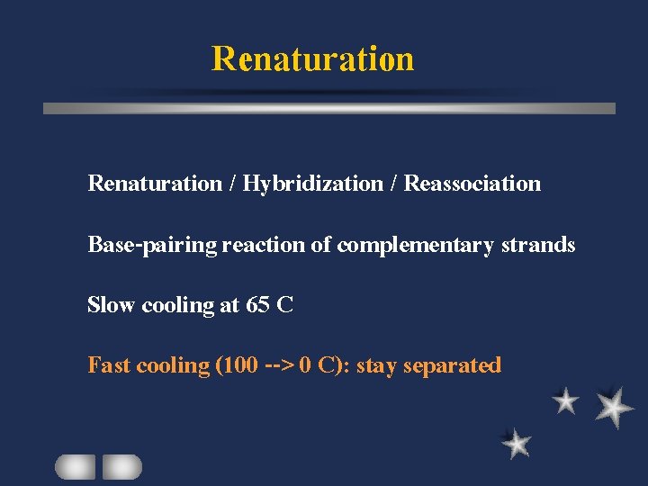 Renaturation / Hybridization / Reassociation Base-pairing reaction of complementary strands Slow cooling at 65