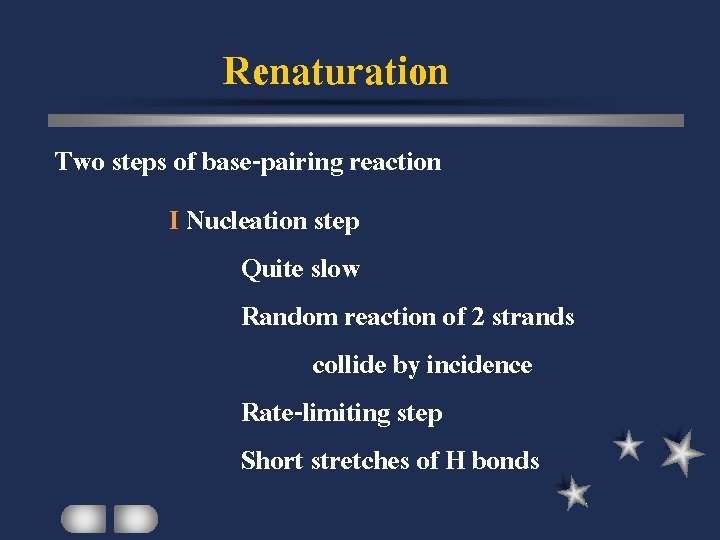 Renaturation Two steps of base-pairing reaction I Nucleation step Quite slow Random reaction of