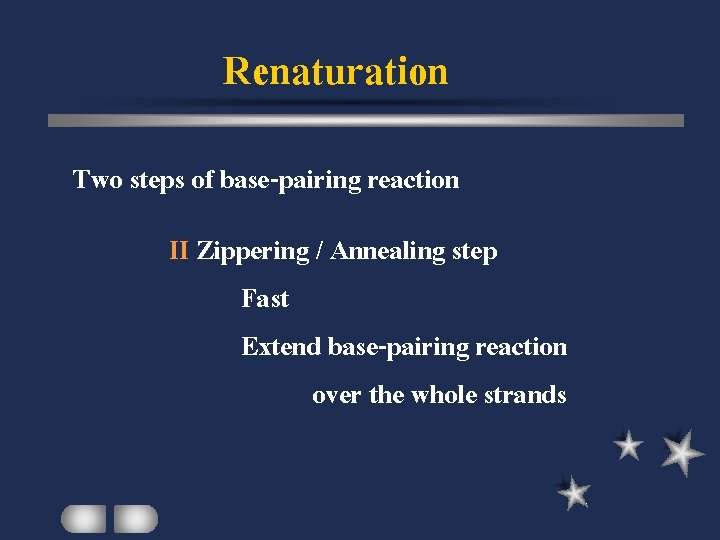 Renaturation Two steps of base-pairing reaction II Zippering / Annealing step Fast Extend base-pairing