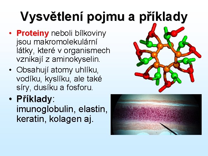 Vysvětlení pojmu a příklady • Proteiny neboli bílkoviny jsou makromolekulární látky, které v organismech