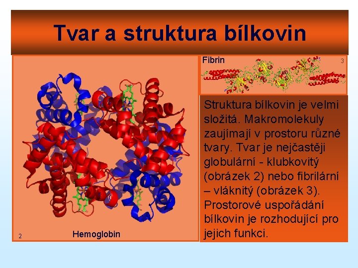 Tvar a struktura bílkovin Fibrin 2 Hemoglobin 3 Struktura bílkovin je velmi složitá. Makromolekuly