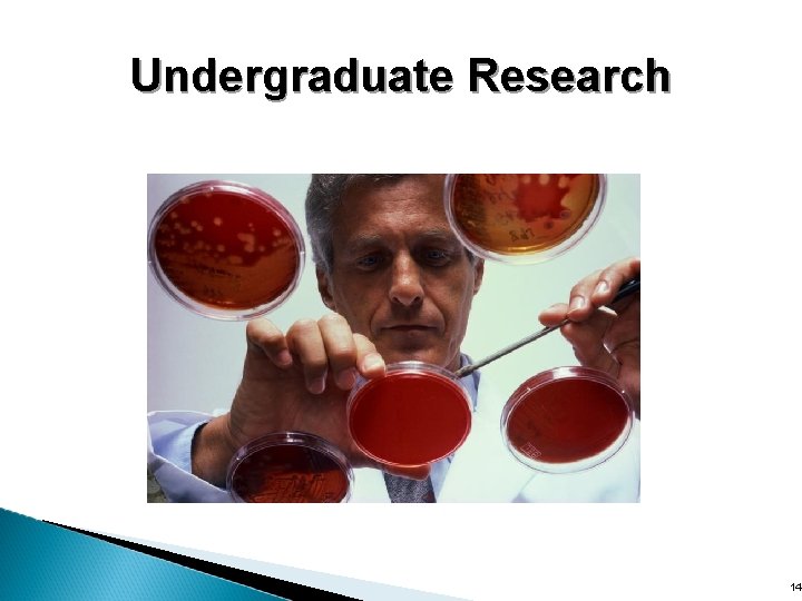 Undergraduate Research 14 