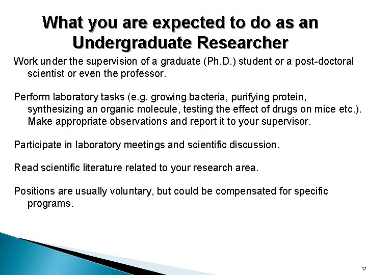 What you are expected to do as an Undergraduate Researcher Work under the supervision