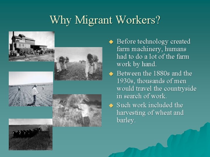 Why Migrant Workers? u u u Before technology created farm machinery, humans had to